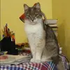 Отзыв от Серафима Никитина